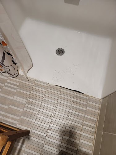 Surface Specialists of Mid-Mo LLC.