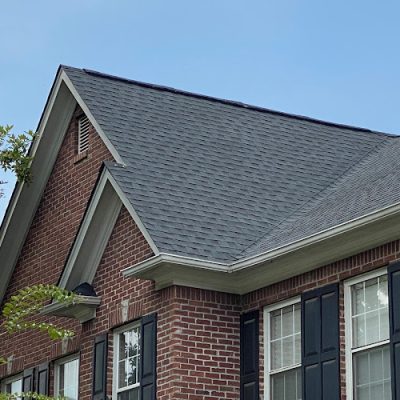The Roofing Dudes