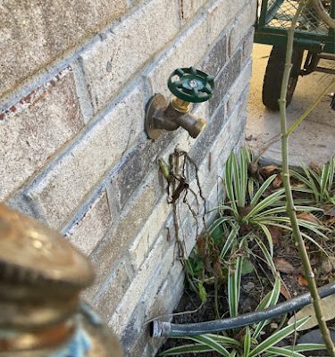 First Choice Plumbing Inc