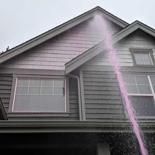 Soft Wash Roof Cleaning