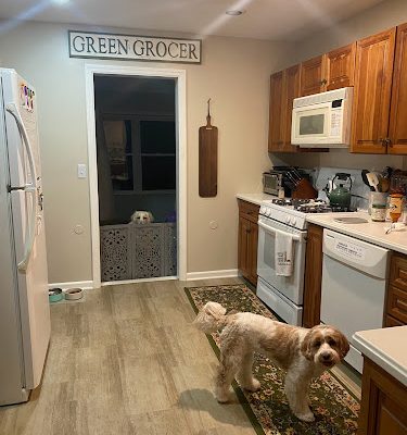 Hammer Head Group Painting & Remodeling