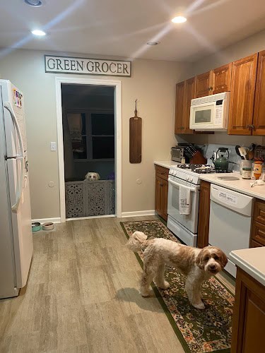 Hammer Head Group Painting & Remodeling