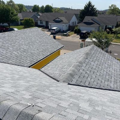 Buzzline Roofing
