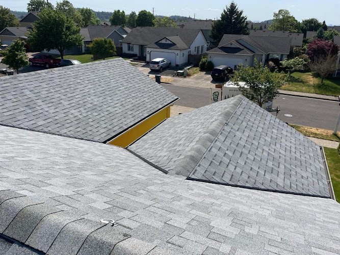 Buzzline Roofing