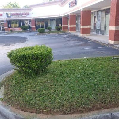 A.P. Repairs, Restorations, & Renovations
