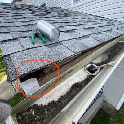 Mighty Dog Roofing SWFL