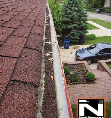 Ned Stevens Gutter Cleaning