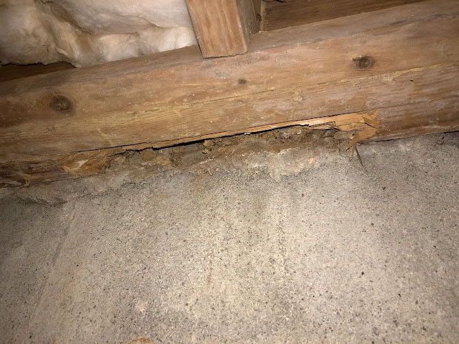 Allied Pest Management
