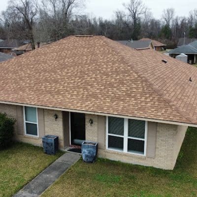 Roof Gecko