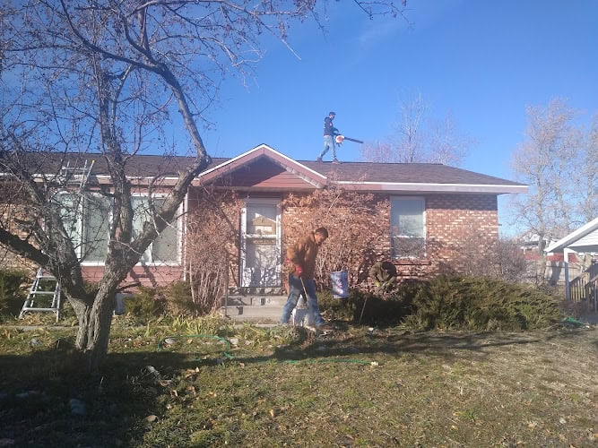 Whitaker Roofing Services