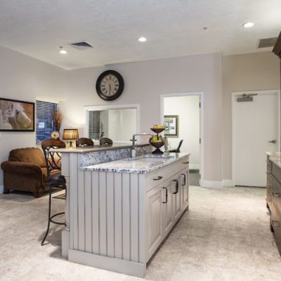 Bedrock Quartz Countertops