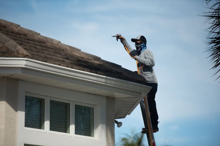 Clean Roof