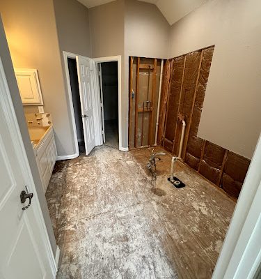 Dust Kingz Dustless Demo & Remodeling