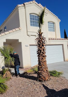 Vegas Handyman & Remodeling