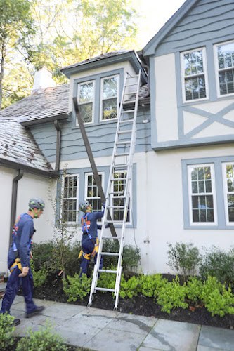 Ned Stevens Gutter Cleaning