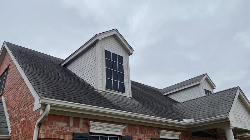 Honey Bees Roofing
