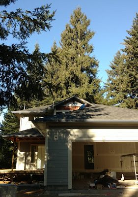 Coastal Construction & Remodeling Services