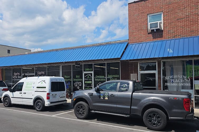 GreenFrog LLC