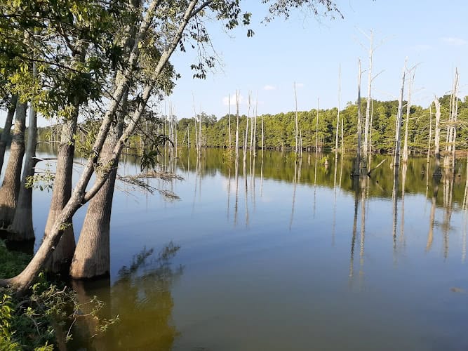 Robertsons Repair LLC