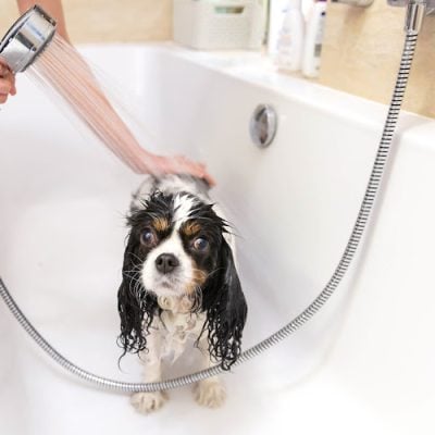 Mcmillion Plumbing