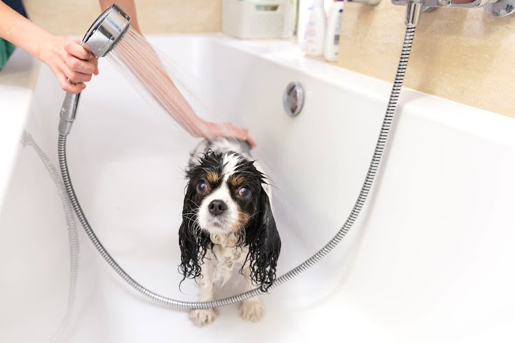 Mcmillion Plumbing