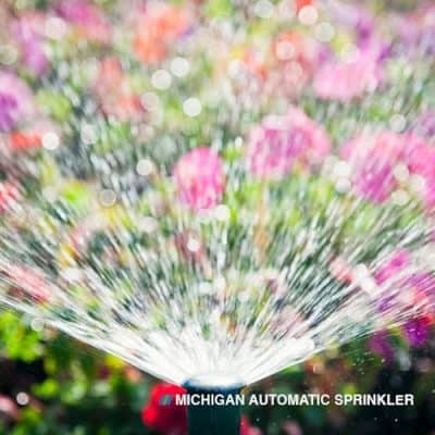 Automatic