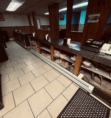H. Wayne & Son Plumbing & Heating