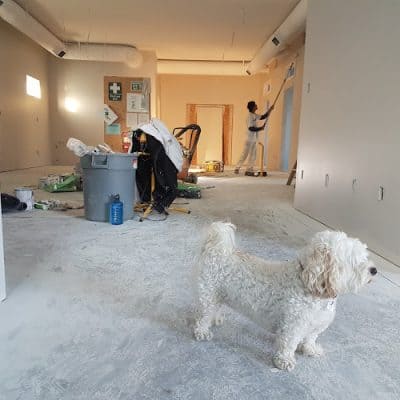 Daku Home Improvement