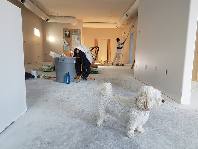 Daku Home Improvement