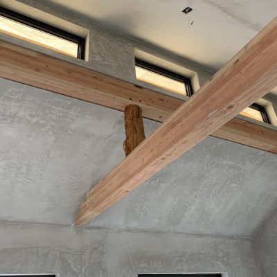 Eugene Plastering