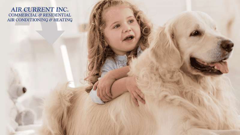 Air Current Inc.