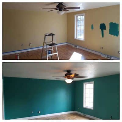 Preserve Pro Painting