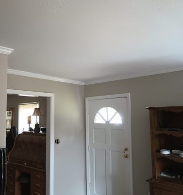 Lion of Judah house painting LLC