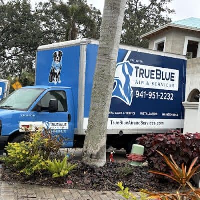 TrueBlue Air & Services
