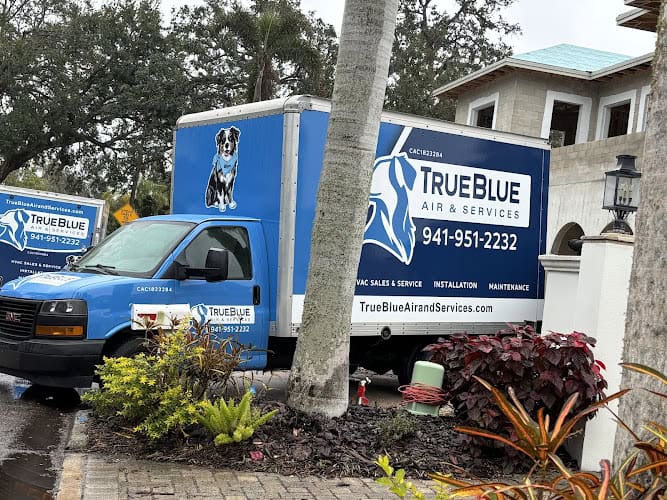 TrueBlue Air & Services