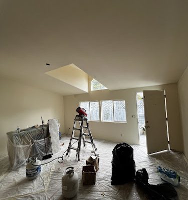 Plaster and drywall pros