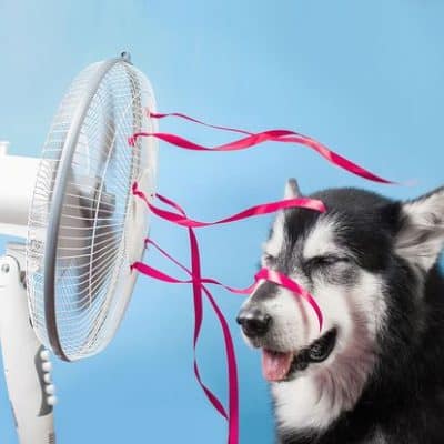 Wojo's Heating &Air Conditioning