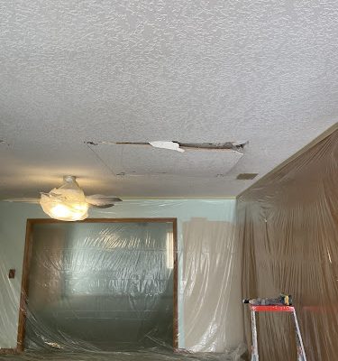 Acoustical Ceilings