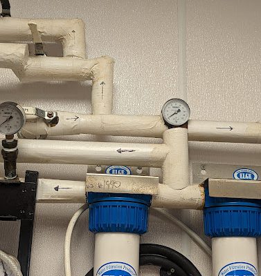 Rapid Rooter