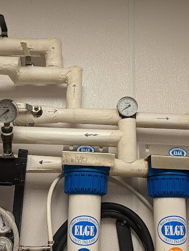 Rapid Rooter