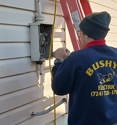 Bushy's Electric