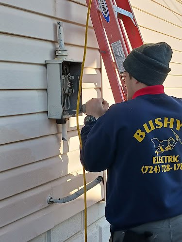 Bushy's Electric