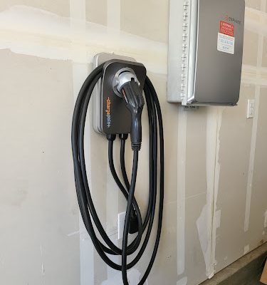 Goose Electric