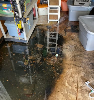 True Blue Plumbing LLC