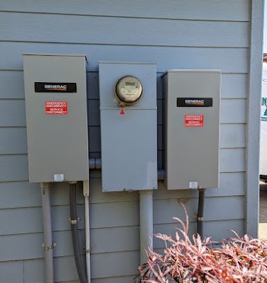 Bear Mountain Electric