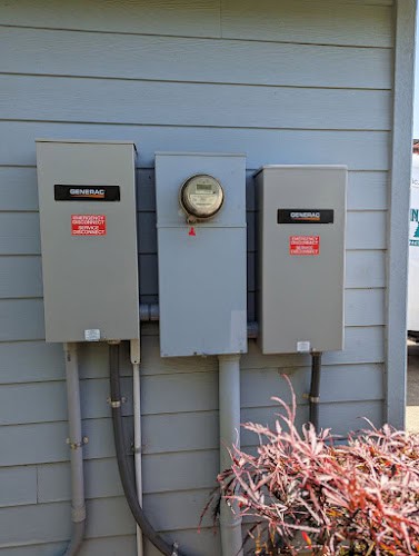 Bear Mountain Electric