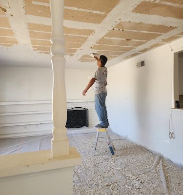 VIP PAINTING INC