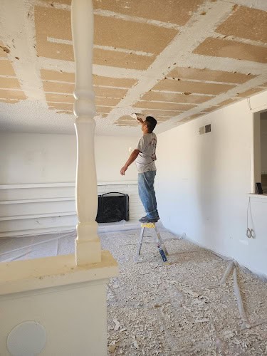 VIP PAINTING INC