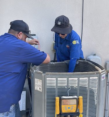Airsheen Services LLC
