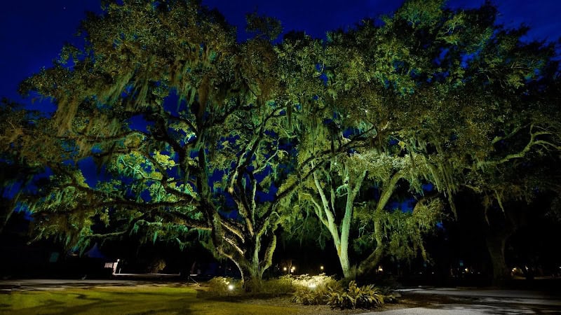 Full Moon Lighting & Electrical, LLC